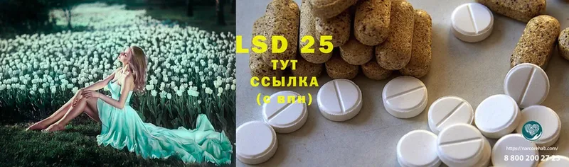 Лсд 25 экстази ecstasy  omg ONION  Никольск  закладки 